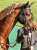 東京11R #ヴェローチェオロ  #ダイヤモンドS  #ゴールドシップ産駒 オロ君復帰 おかえりなさい 本当に綺麗