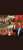 رجل محنك ويعول عليه ذو كفاءة عالية ولاعزاء للحاقدين ،مغاربة ونفتخر #كلنا_القجع