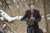Happy Bicycle Groundhog Day to all who celebrate