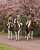 Queen Elizabeth with her daughter Princess Anne, The Princess Royal and granddaughter Zara Tindall pictured while horseback riding at Windsor Castle in April 2004    Elizabeth riding Tinkerbell, Anne riding Peter Pan and Zara riding Tiger Lily!