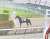#ドゥラエレーデ  本当に落馬したのかと思えるほどのレースっぷり  道中は後方待機も緩い流れを感知しペースアップ、スキルヴィングを徹底マークし折り合いも完璧だった  ゴール後もしっかりUターンし、だれのチカラも借りずに地下馬道へ一番乗りで降りていく  頭脳だけは7708頭の頂点
