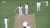 West Indies' Adelaide tour guide: Travis Head #AUSvWI