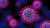 Nuevas claves sobre cómo el coronavirus lleva a cabo la infección  Una región de la proteína Spike actúa como una llave que permite la entrada del virus SARS-CoV-2 a las células