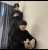 Game on. It&rsquo;s coming  #VegasPete #KinnPorscheTheseriese #KinnPorscheEP5