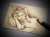 I&rsquo;ve got you. I won&rsquo;t let go. #TITANIC #タイタニック #ATCクラブ #sketchcard
