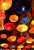 Lunar New Year latern show is a tradition at Yu Garden (豫園) - one of the few things I like for the CNY holiday. #Shanghai  #LunarNewYear