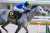 2023年1月28日　東京10R　クロッカスS（L）　芝1400ｍ　優勝　ヤクシマ〔C.ルメール〕　タイム1.21.1 2番手にいたヤクシマが逃げるフロムダスクを捕えて追い込むサトノヴィレを3/4馬身抑えて優勝！ #クロッカスS #ヤクシマ #クリストフルメール #寺島良