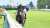 コールドムーンステークス制覇の リフレイムさん ・パドックで寝ようとする ・パドックはいつも最後尾 ・返し馬で外ラチに目線でファンサ ・外に寄れても強い ・芝＆砂のＯＰを制覇 ・獲得賞金1億超え かわいくて強いんですよね