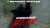 The first trailer for &lsquo;COCAINE BEAR&rsquo; has been released.  The film releases on February 24 in theaters.
