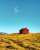 I like how #OppoFindX5series consistently shoots  One hike to the amazing Brewster Glacier and I have plenty of great pics    #shotonoppo Find X5 Brewster hut, New Zealand