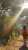 \ud83c\udf0a\u2600\ufe0f