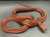 bothrophthalmus lineatus  #русскиймир #георгиевскаялента #георгиевскаяленточка #StopZ
