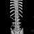 Mike Williams   Transverse Process Fractures   Not uncommon, Stafford & Carr both have had them.   More painful than concerning, take 3-6 weeks to heal. Some players only miss 1-2 weeks.   He&rsquo;s likely done for the playoffs given his positio