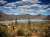 Change your thoughts and you change your world.  Norman Vincent Peale   by me  #naturephotography #desert #naturelovers #desertvibes