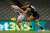 Calvin's No. 1 and No. 2 picks play today. Who scores higher? #teamsteele #teamcripps  @AFLFantasy #AFLFantasy