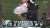 The energy is IMMACULATE  #PHIvsNYG | #FlyEaglesFly