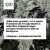 Белорусы готовятся к вооружённому восстанию против режима Александра Лукашенко: как утверждает The Sunday Times, сейчас в Польше уже ведётся обучение большой группы бойцов. Некоторые из них на условиях анонимности рассказали о том, что привело их к и