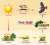 NATURE 1.0 - FOOD CHAIN TECHNOLOGY.  CREATOR - GOD Here is the detailed  ROADMAP  #Bitcoin #blockchaintechnology