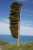 #منوعاتشبه جزيرة بانكس في نيوزيلندا هي موطن لشجرة الأكمام الهوائية. جنوبًا إلى أقصى نقطة في الجنوب من الجزيرة الجنوبية سلوب بوينت أحد أكثر الأماكن رياحًا في العالمهنا تنمو الأشجار بشكل جانبي بسبب الرياح القوية...#مرصد_الزقورة_الفلكي2