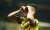 &Pi;&omicron;&upsilon; &theta;&alpha; &epsilon;ί&chi;&epsilon; &phi;&tau;ά&sigma;&epsilon;&iota; &omicron; &Gamma;&kappa;ά&tau;&sigma;&iota;, &epsilon;ά&nu;&hellip; #aekfc #aek #aekfans #aekfamily