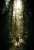 Le pionnier de la technologie verte #EOS ouvre la voie &agrave; des #blockchains durables.  EOS est l'une des blockchains les plus performantes, mais aussi neutre en carbone, ce qui la rend sans impact sur l'environnement, contrairement aux blockchai