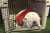 'Wake me up in the fourth quarter.'  -Uga probably  #CFBPlayoff
