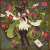 ポケモンデー！！  #Pok&eacute;monDay #Pokemon #ポケモンイラスト