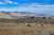 A timelapse of a meandering bison herd from today in Yellowstone National Park. I could watch them all day.