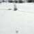 In 1995, U.S. and Canadian wildlife officials released 14 wolves in Yellowstone National Park. No one expected the miracle that the wolves would bring. Video by Nat Geo Wild / Appreciate.