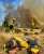 Quote