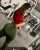 #regia&nbsp;Buenos D&iacute;as  Alegr&iacute;as   Credit ig @vanneeelizondo  #fit #Gym #fitnessmotivation #sportgirl #lifestyle #motivationmonday #fitnessaddict  #workout #work #workinprogress #fitnessgirl #glute #glutes #glutworkout #squats #gymrat 