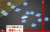 ドバイゴールデンシャヒーン　#強適シート \u25ce\u2464レモンポップ \u2605\u246dタズ レモンポップ、世界にも通用する器です。 怖いのはタズ。展開が恵まれると、あたままであります。