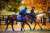 &lsquo;Future Stars&rsquo; Card Begins Breeders&rsquo; Cup 2022  #floridathoroughbreds @FLbred #FloridaBred #horseracing #Ocala #HorseCapitalOfTheWorld #HCOTW @TheBrockTalk