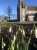 Important to note,we are half way through January and early as it is,there are visible signs; of a brighter spring ahead. On #BlueMonday embrace the early signs of hope&hellip;
