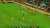 Antalyaspor - Fenerbah&ccedil;e #ANTvFB  Yayının kapanmaması i&ccedil;in RT + FAV yapalım.
