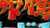 金曜よる7時00分は #沸騰ワード10  \ud83d\udd25   \ud83d\udef3沸騰島 　＆取り憑かれた風間俊介 \u2708\ufe0f  \u25e4￣￣￣￣￣￣￣￣￣￣￣￣  \ud83d\udc40スタジオ未公開トーク \ud83d\udc40 　　　放送開始までの 　　 期間限定公開中 \u270b ＿＿＿＿＿＿＿＿＿＿＿＿\u25e2   \ud83c\udf89ゲスト #福本莉子 さん  #バナナマン #風間俊介 #倉科カナ #沙羅