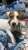 Meu filho bichol&oacute;gico \ud83d\udc36 SKY &hearts;️.......#Puppy #JackRussell #JackRussellTerrier #JackRussellTerrorist #Filhote #MaeBichologica #Love #Amor #Chien #Dog #Amour #JackRussellLovers #JackRussellSofInstagram