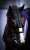 ショウナンナデシコ