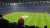 COYS!!! #Tottenhammilan #ChampionsLeague