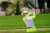 ブティエPO制し通算3勝目 古江彩佳1打差3位 渋野日向子7位 #古江彩佳 #渋野日向子 #セリーヌ・ブティエ #LPGAドライブオン選手権