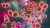 Cases of Candida auris Fungal Infection Dramatically Increase in U.S.  Cases and transmission of highly contagious fungal infections see dramatic increase between 2019 and 2021. Learn why: