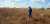 Happy National #AgDayAU! We're bringing the benefits of space to Aussie farmers through our #PositioningAustralia and #DigitalEarthAu programs, to enable fenceless farming, monitor stock behaviour, and identify feed and water availability.
