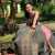 Ayubowan \ud83d\ude4f\ud83c\udffb\ud83d\udc18...#srilanka #negambo #elephants #travel #adventure #cabincrew #cabincrewlife #nature #colombo