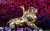 I love Riri but THIS is how you do a SuperBowl Halftime Show! #RihannaSuperBowl #HalftimeShow #rihanna