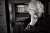 Ha fallecido #CarlosSaura (91) cineasta. Un recuerdo: &lsquo;La Caza', a&ntilde;o 1966, cine Espa&ntilde;oleto, en Madrid. Luego 'Fados', a&ntilde;o 2007, en Lisboa DEP
