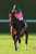 【#次回狙おう】 内でごちゃついたプラダリアは精神的にきつい競馬、流れ向かず伸び欠くが力負けではない／菊花賞  #jra #keiba #競馬 #プラダリア
