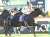 JC制覇 #ヴェラアズール は有馬記念参戦へ　キャロットＦ秋田社長が前向き「脚元に問題なければ」 #有馬記念 #keiba