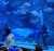 he was so happy when he read it  &ldquo;Ocean Mewmories with Mewlions&rdquo;   SEA LIFE BANGKOK X MSS #SeaLifeBKKxMEW