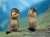 Good morning twitterlings and happy groundhog day