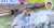 【日テレ・スッキリ】オードリー春日がペンギンの池にネタで何度も落下し大炎上中&larr;那須どうぶつ王国、日テレにぶちぎれて声明を出す